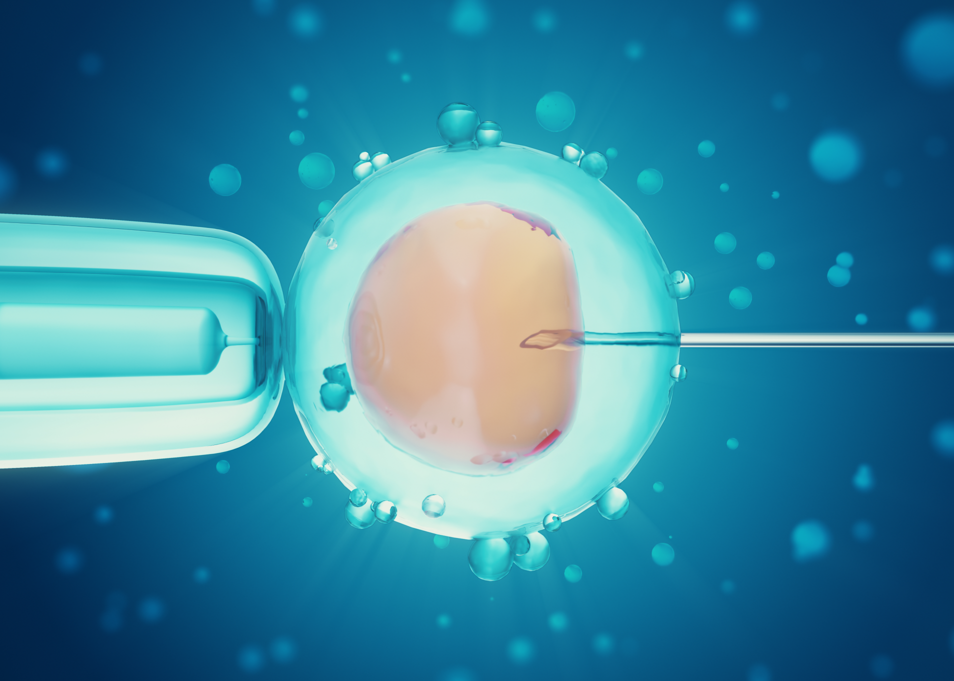 In Vitro Fertilization (IVF)