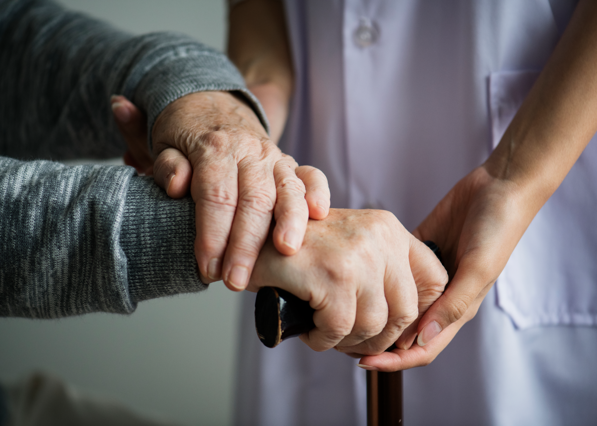 Geriatric Care Services 