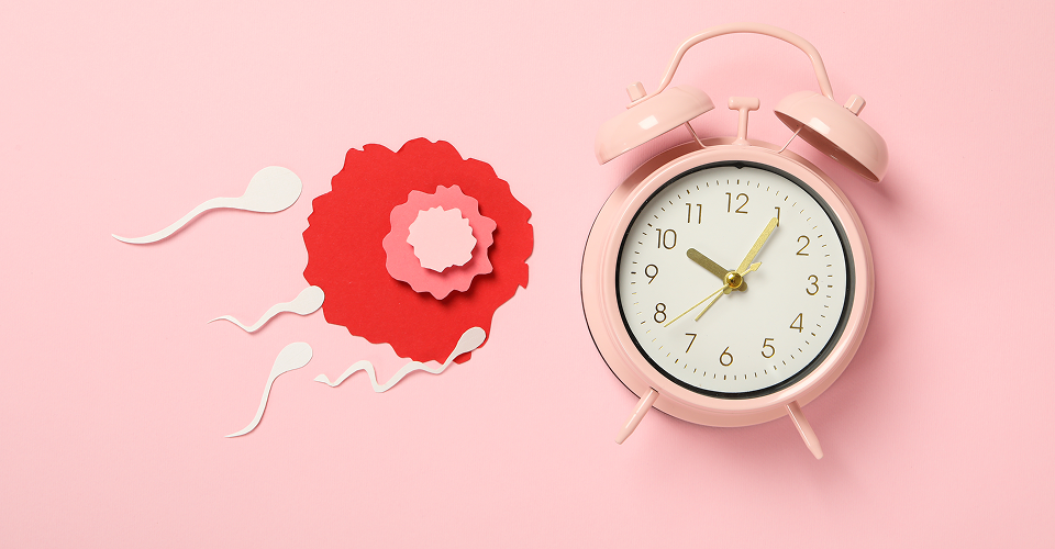 ovulation_calculator_cover_img