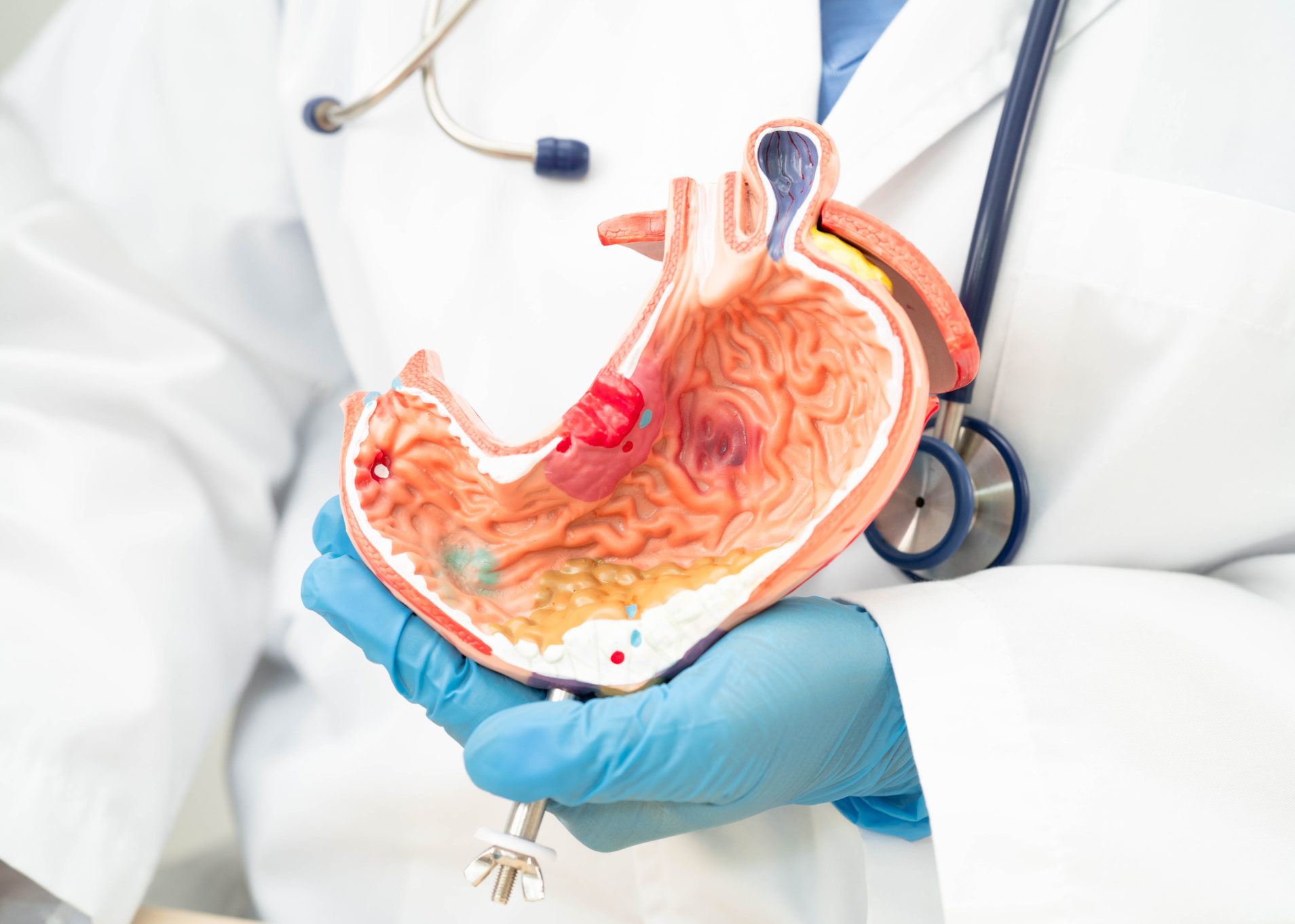 Gastroenterology &amp; Endoscopy Department 